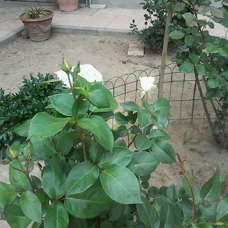 Perbacco Bed and Breakfast Sartirana Lomellina Εξωτερικό φωτογραφία